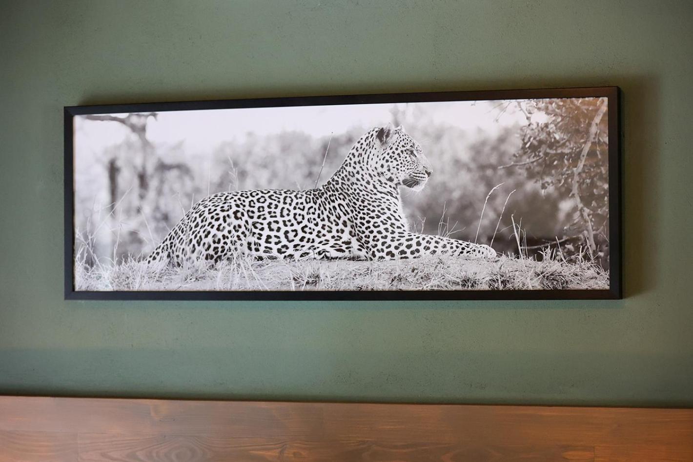 Tomo Safari Lodge Hoedspruit Camera foto