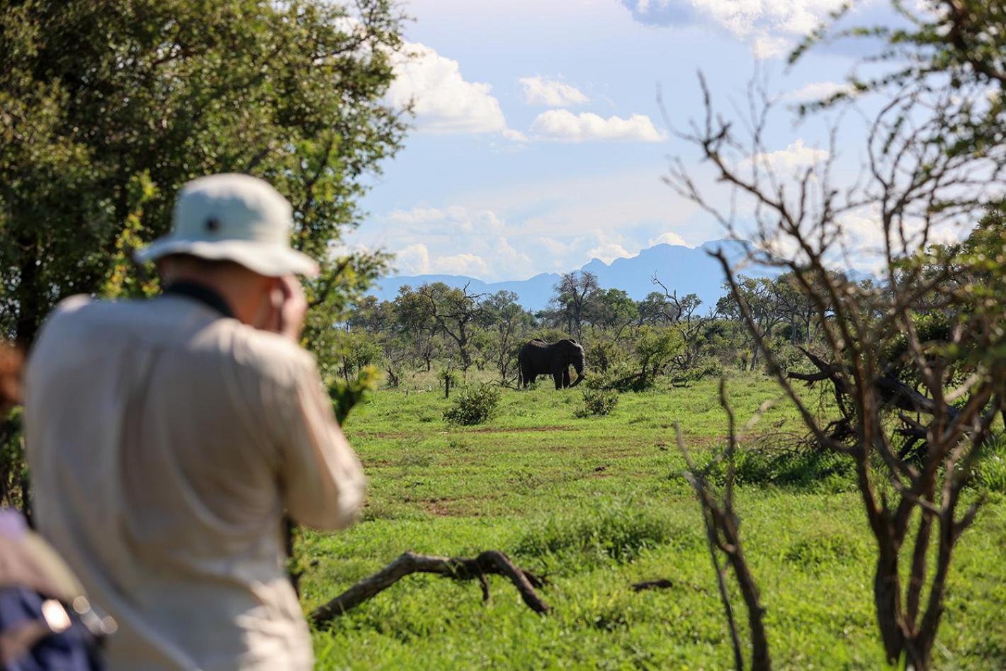 Tomo Safari Lodge Hoedspruit Esterno foto